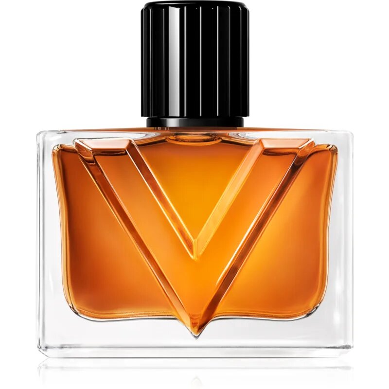 Valentino Vendetta Uomo parfumska voda za moške 50 ml