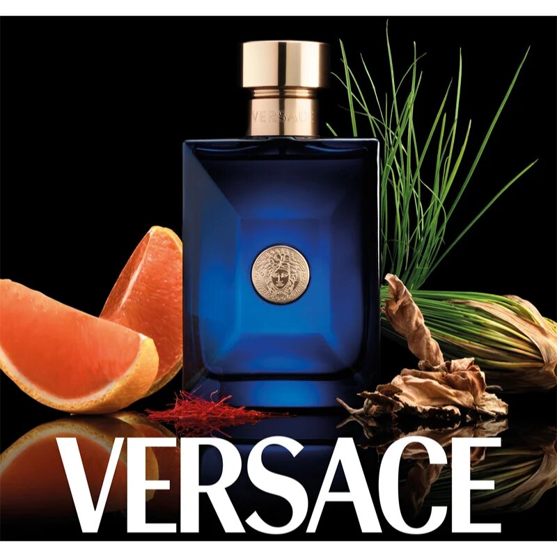 Versace Dylan Blue Pour Homme toaletna voda za moške 100 ml