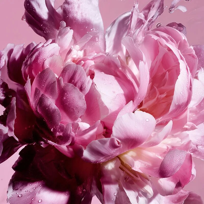 Viktor & Rolf Flowerbomb Pretty Peony parfumska voda za ženske 30 ml