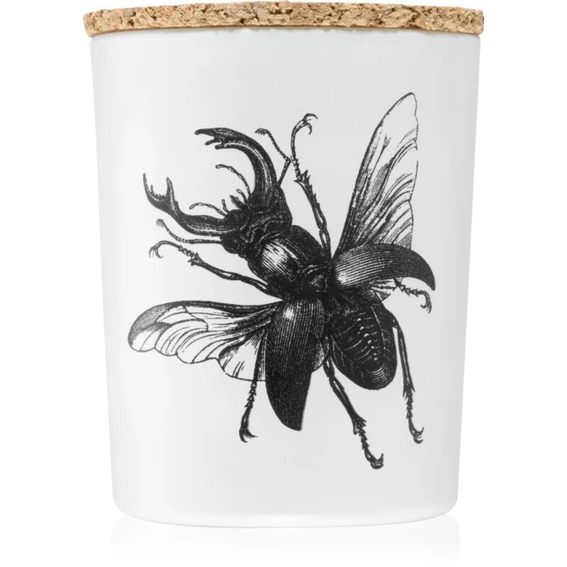 Vila Hermanos Insect Lucanus Cervus dišeča sveča 75 g
