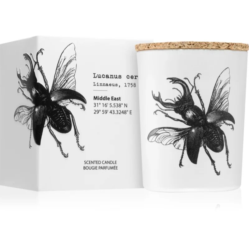 Vila Hermanos Insect Lucanus Cervus dišeča sveča 75 g