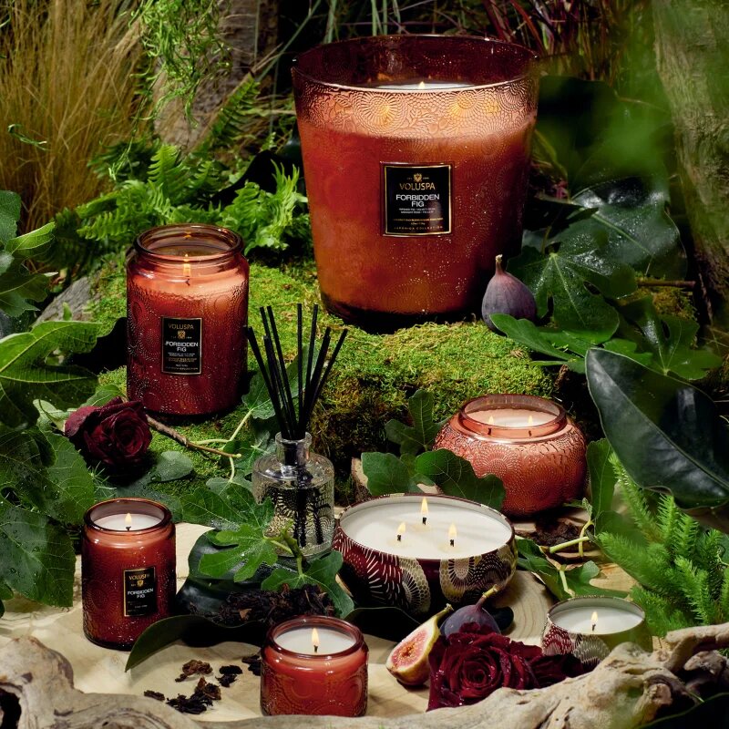 VOLUSPA Japonica Forbidden Fig dišeča sveča 255 g