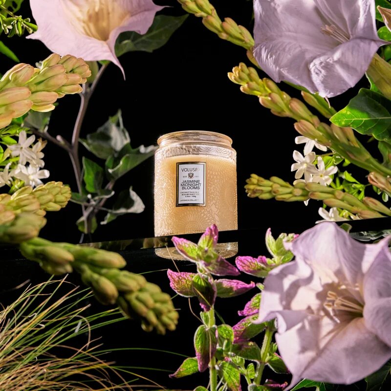 VOLUSPA Japonica Jasmine Midnight Blooms dišeča sveča 156 g