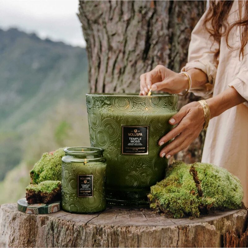 VOLUSPA Japonica Temple Moss dišeča sveča 510 g