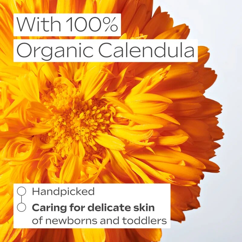 Weleda Baby ognjičeva krema za obraz brez dodanih dišav 50 ml
