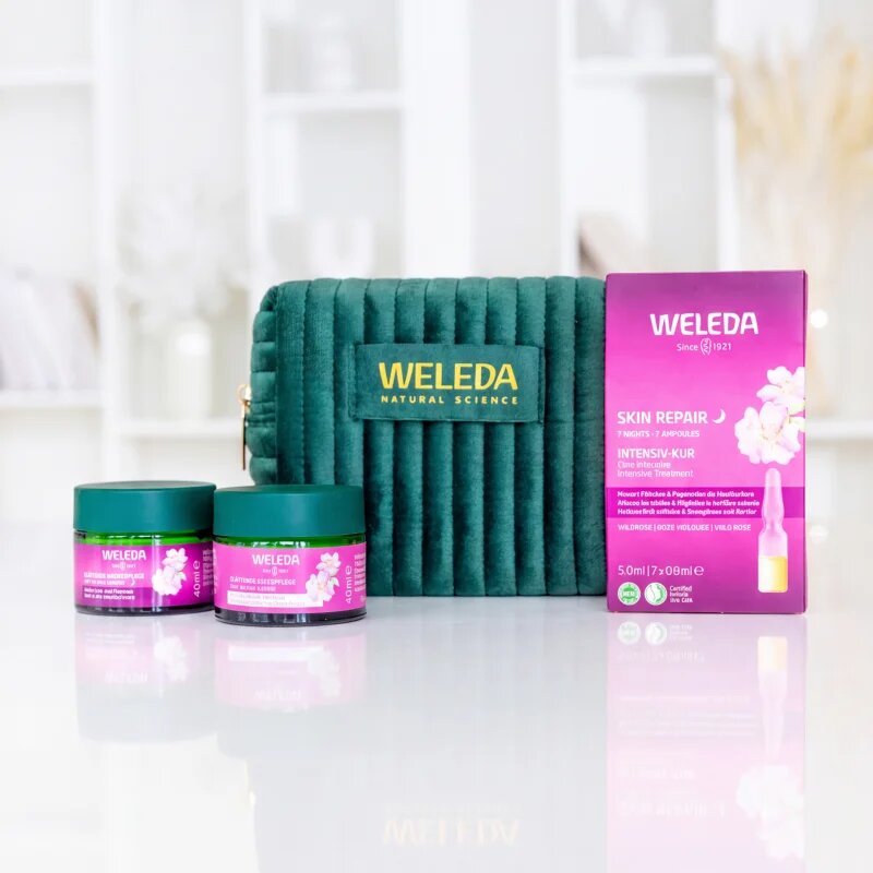 Weleda Wild Rose Renewal Ritual darilni set za prve gube