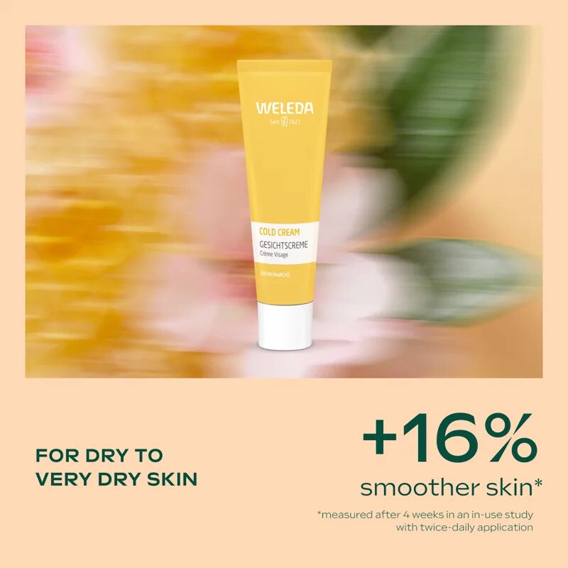 Weleda Winter Must-Have darilni set za obnovitev in hranjenje kože obraza