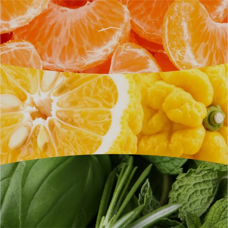 Woodwick Tangerine & Citron dišeča sveča z lesenim stenjem 275 g