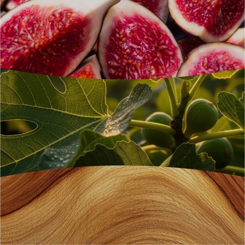 Woodwick Verdant Fig dišeča sveča z lesenim stenjem 275 g