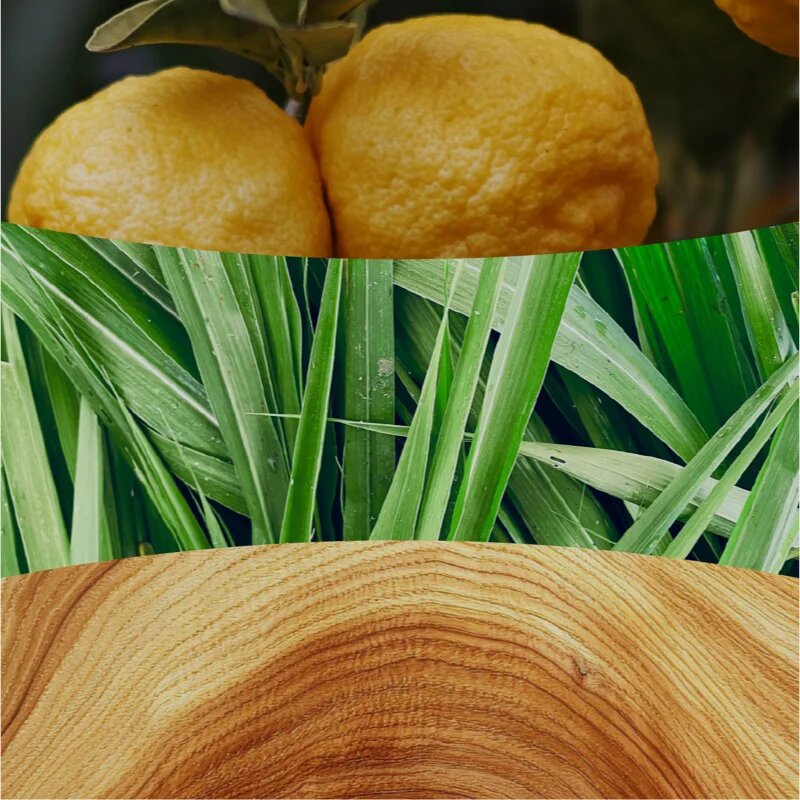 Woodwick Yuzu & Vetiver dišeča sveča z lesenim stenjem 610 g