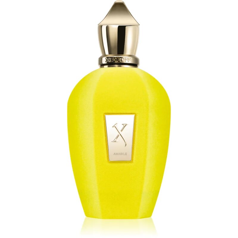 Xerjoff Amabile parfumska voda uniseks 100 ml