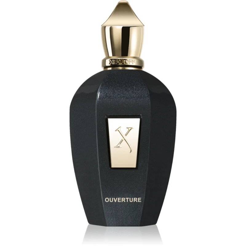Xerjoff Ouverture parfumska voda uniseks 100 ml