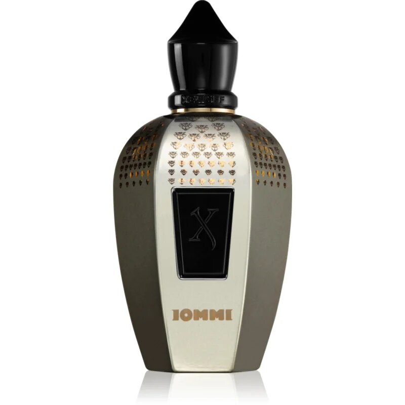Xerjoff Tony Iommi Monkey Special parfum uniseks 100 ml