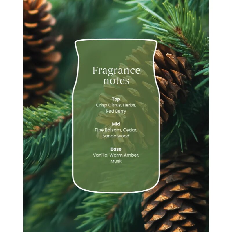 Yankee Candle Balsam & Cedar Fireside dišeča sveča 368 g