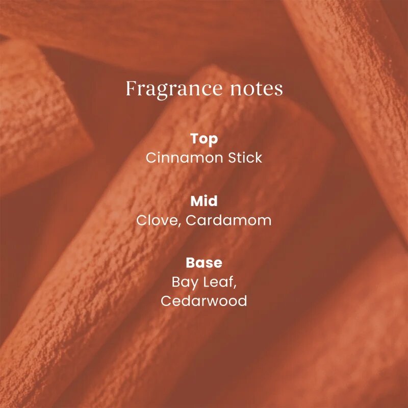 Yankee Candle Cinnamon Stick dišeča sveča Signature 110 g