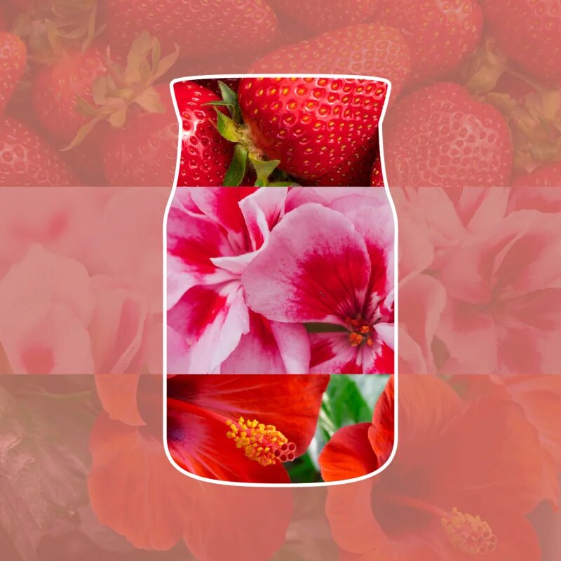 Yankee Candle Cliffside Sunrise dišeča sveča Signature 110 g