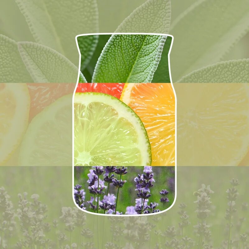 Yankee Candle Sage & Citrus dišeča sveča Signature 110 g