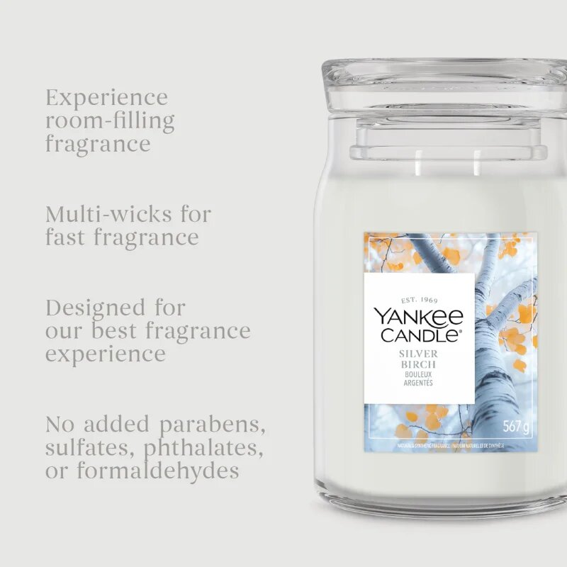 Yankee Candle Silver Birch dišeča sveča 567 g