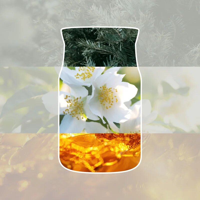 Yankee Candle Silver Birch dišeča sveča Signature 110 g