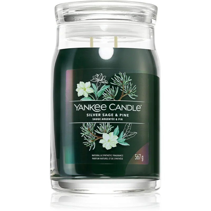 Yankee Candle Silver Sage & Pine dišeča sveča Signature 567 g
